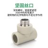 PPR外丝三通的产品介绍 - 图片 2