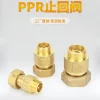 PPR黄铜止回阀 - 图片 2